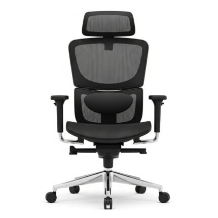 Lurvexa Ergonomic Mesh Office Chair with Adjustable Lumbar Support & Arms