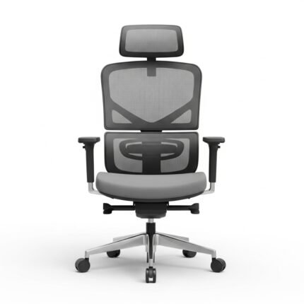 Lurvexa Ergonomic High Back Office Chair with Adjustable Lumbar Support